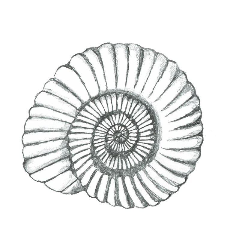 Regalo Lake Texoma